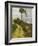 Hill Road-Edoardo Dalbono-Framed Giclee Print