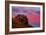 Hill Sunset Magic Mount Diablo California Coast Live Oak Trees-Vincent James-Framed Photographic Print