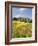 Hill Town Pienza and Field of Poppies, Tuscany, Italy-Nadia Isakova-Framed Photographic Print