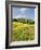 Hill Town Pienza and Field of Poppies, Tuscany, Italy-Nadia Isakova-Framed Photographic Print