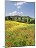 Hill Town Pienza and Field of Poppies, Tuscany, Italy-Nadia Isakova-Mounted Photographic Print