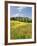 Hill Town Pienza and Field of Poppies, Tuscany, Italy-Nadia Isakova-Framed Photographic Print