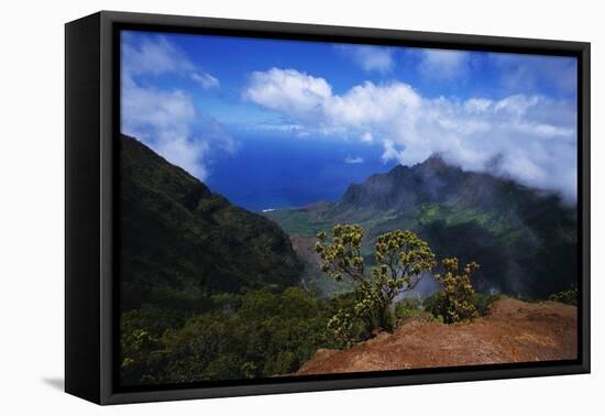 Hills along the Napali Coast-W. Perry Conway-Framed Premier Image Canvas