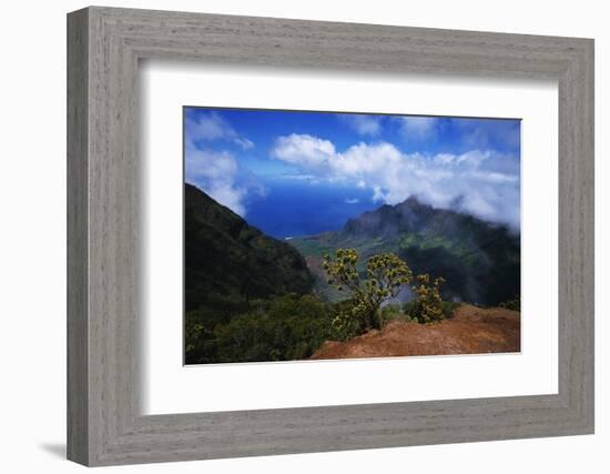 Hills along the Napali Coast-W. Perry Conway-Framed Photographic Print