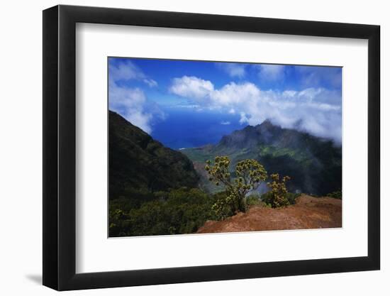 Hills along the Napali Coast-W. Perry Conway-Framed Photographic Print