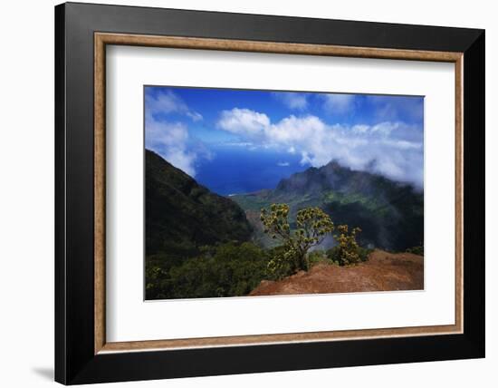 Hills along the Napali Coast-W. Perry Conway-Framed Photographic Print