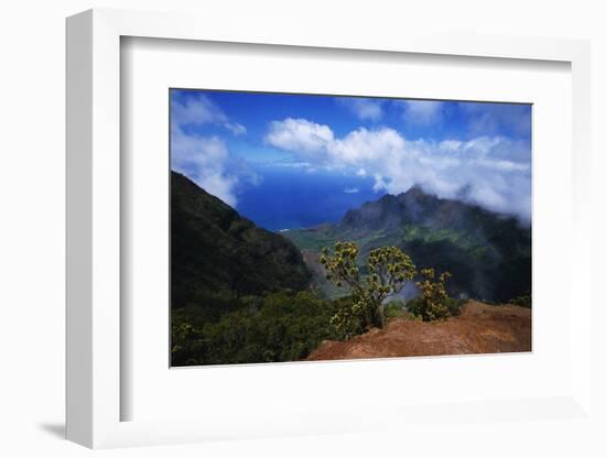 Hills along the Napali Coast-W. Perry Conway-Framed Photographic Print