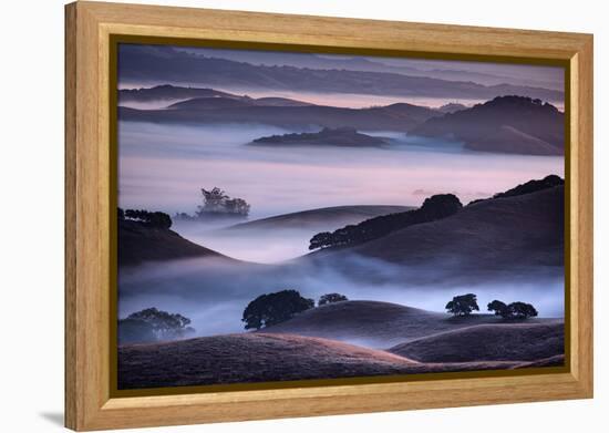 Hills and Fog of Northern California, Petaluma, Bay Area-Vincent James-Framed Premier Image Canvas