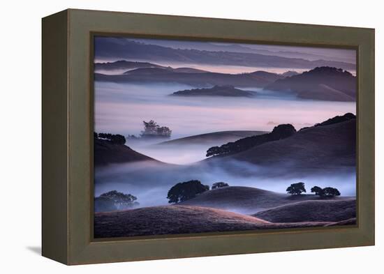 Hills and Fog of Northern California, Petaluma, Bay Area-Vincent James-Framed Premier Image Canvas