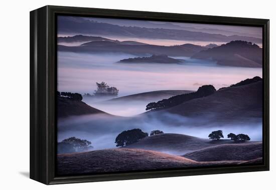 Hills and Fog of Northern California, Petaluma, Bay Area-Vincent James-Framed Premier Image Canvas