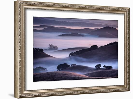 Hills and Fog of Northern California, Petaluma, Bay Area-Vincent James-Framed Photographic Print