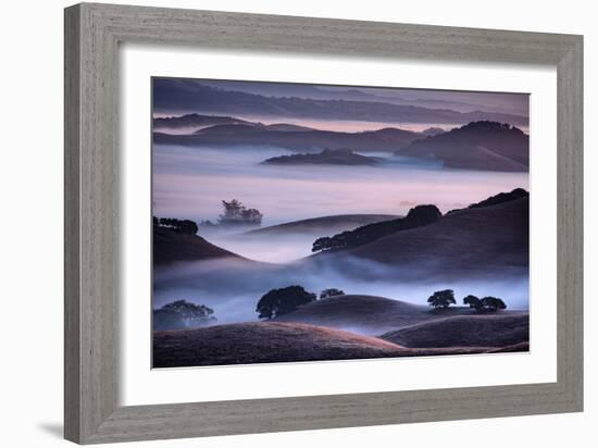 Hills and Fog of Northern California, Petaluma, Bay Area-Vincent James-Framed Photographic Print