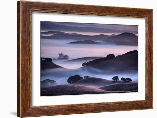 Hills and Fog of Northern California, Petaluma, Bay Area-Vincent James-Framed Photographic Print