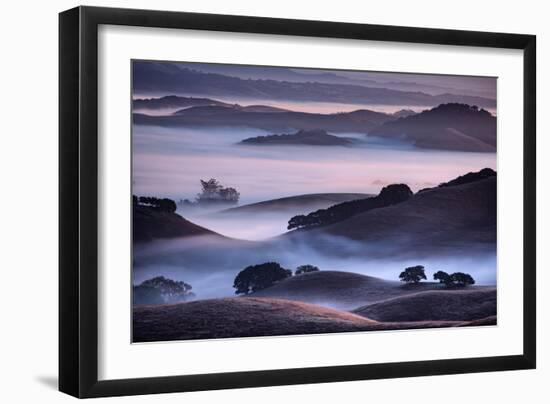 Hills and Fog of Northern California, Petaluma, Bay Area-Vincent James-Framed Photographic Print