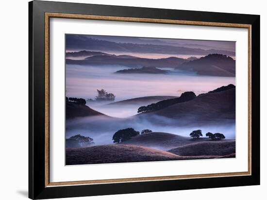 Hills and Fog of Northern California, Petaluma, Bay Area-Vincent James-Framed Photographic Print