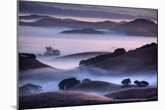 Hills and Fog of Northern California, Petaluma, Bay Area-Vincent James-Mounted Photographic Print