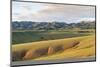 Hills and mountains, Bayandalai district, South Gobi province, Mongolia, Central Asia, Asia-Francesco Vaninetti-Mounted Photographic Print