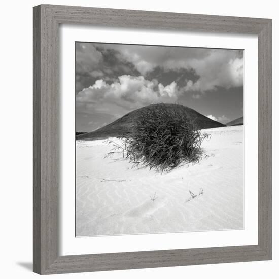 Hills Behind Cluster of Beach Grass-null-Framed Photographic Print