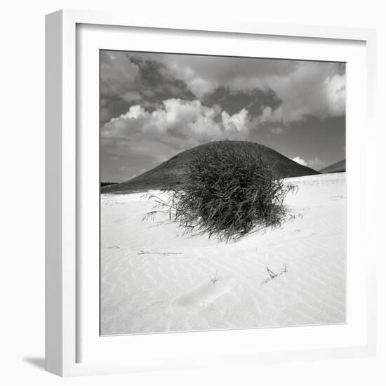 Hills Behind Cluster of Beach Grass-null-Framed Photographic Print