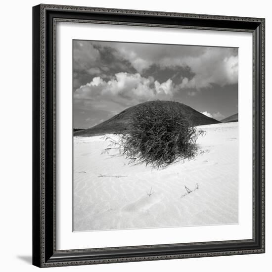 Hills Behind Cluster of Beach Grass-null-Framed Photographic Print