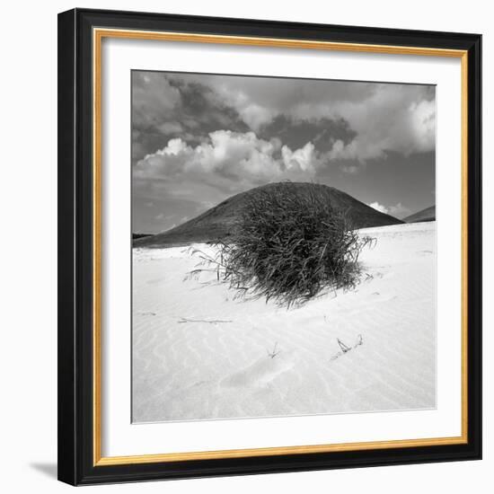 Hills Behind Cluster of Beach Grass-null-Framed Photographic Print