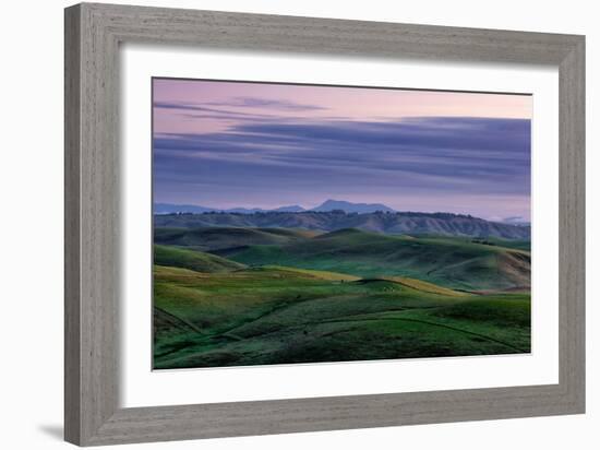 Hills Mist and Winter Green Northern California Hills Marin County Country-Vincent James-Framed Photographic Print