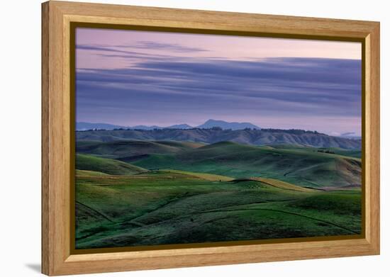 Hills Mist and Winter Green Northern California Hills Marin County Country-Vincent James-Framed Premier Image Canvas