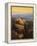 Hills of Chianti-Max Hayslette-Framed Premier Image Canvas