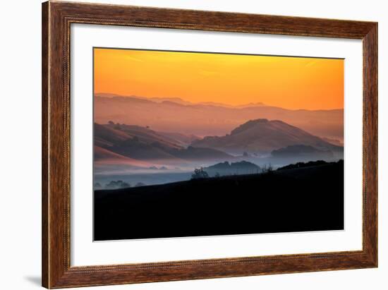 Hills of the Future, Mellow Sun and Hills, Petaluma, Sonoma County-Vincent James-Framed Photographic Print