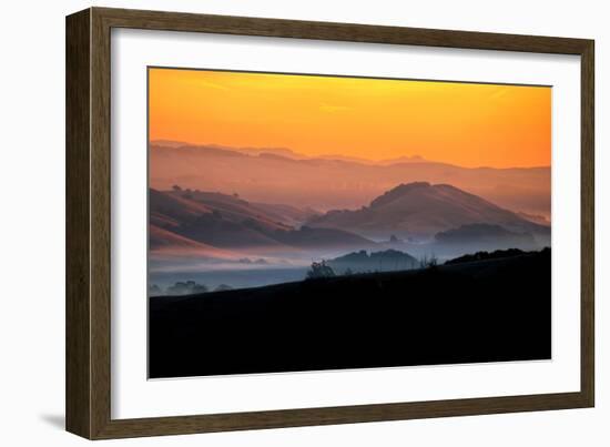 Hills of the Future, Mellow Sun and Hills, Petaluma, Sonoma County-Vincent James-Framed Premium Photographic Print