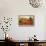 Hills of Tuscany II-Steve Wynne-Framed Giclee Print displayed on a wall