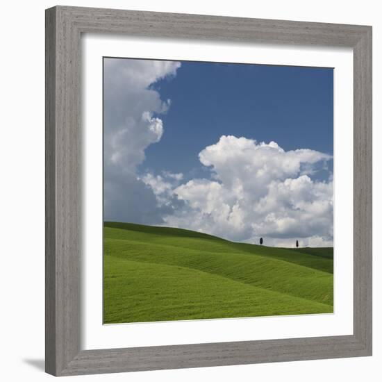 Hills of Tuscany-Nancy Crowell-Framed Photographic Print