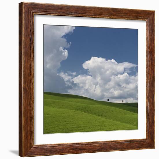 Hills of Tuscany-Nancy Crowell-Framed Photographic Print