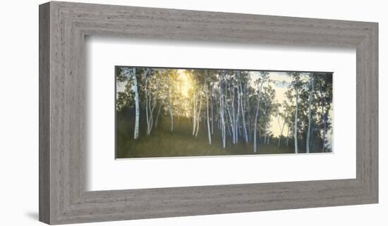 Hillside Birches-Elissa Gore-Framed Art Print