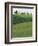 Hillside Chapel, Tuscany, Italy-Walter Bibikow-Framed Photographic Print