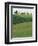 Hillside Chapel, Tuscany, Italy-Walter Bibikow-Framed Photographic Print