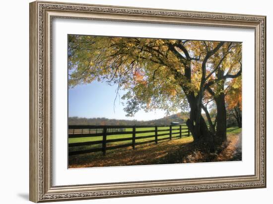 Hillside Farm I-Alan Hausenflock-Framed Photographic Print