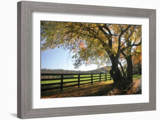 Hillside Farm I-Alan Hausenflock-Framed Photographic Print