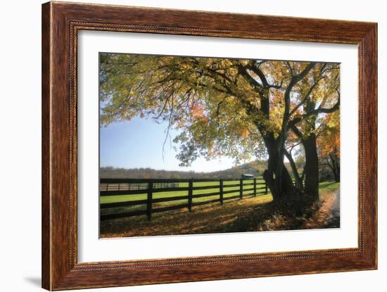 Hillside Farm I-Alan Hausenflock-Framed Photographic Print