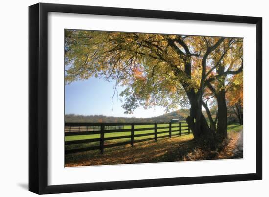 Hillside Farm I-Alan Hausenflock-Framed Photographic Print