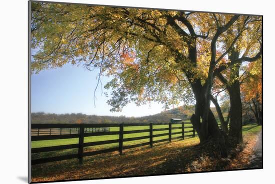 Hillside Farm I-Alan Hausenflock-Mounted Photographic Print