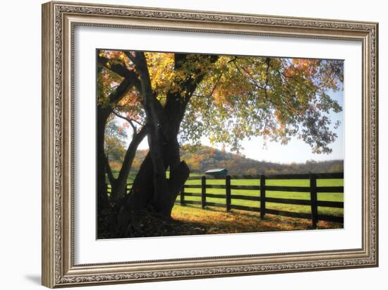 Hillside Farm II-Alan Hausenflock-Framed Photographic Print