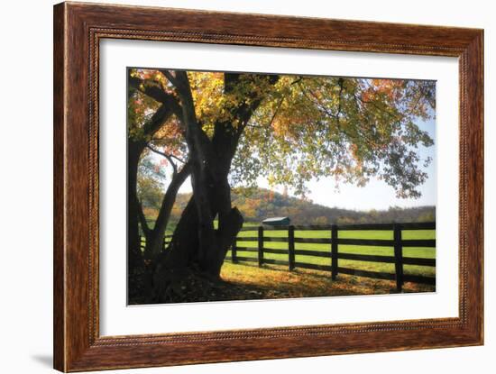 Hillside Farm II-Alan Hausenflock-Framed Photographic Print