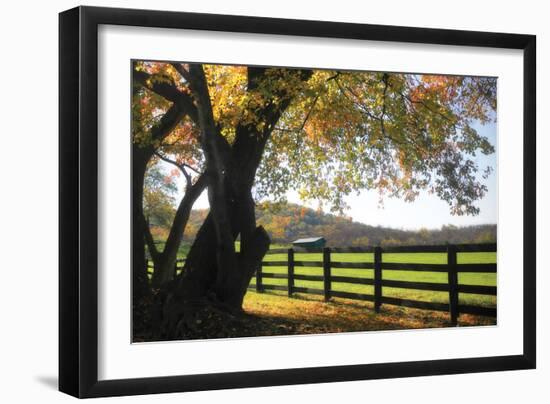 Hillside Farm II-Alan Hausenflock-Framed Photographic Print