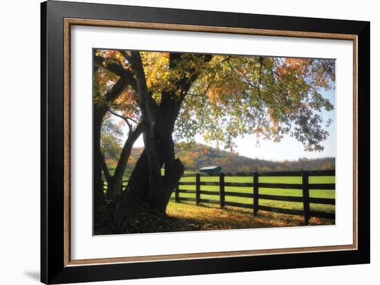 Hillside Farm II-Alan Hausenflock-Framed Photographic Print