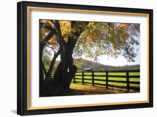 Hillside Farm II-Alan Hausenflock-Framed Photographic Print