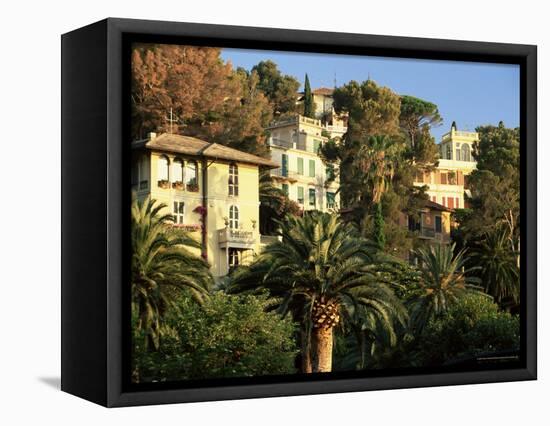 Hillside Mansions Amongst Palms, Santa Margherita Ligure, Portofino Peninsula, Liguria, Italy-Ruth Tomlinson-Framed Premier Image Canvas