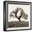 Hillside Oak Tree-Alan Blaustein-Framed Photographic Print