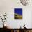 Hillside of Aspen Trees and Evergreen Trees, La Plata County, Colorado-Greg Probst-Photographic Print displayed on a wall