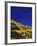 Hillside of Aspen Trees and Evergreen Trees, La Plata County, Colorado-Greg Probst-Framed Photographic Print